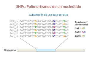 Sn ps y mejoramiento de arroz