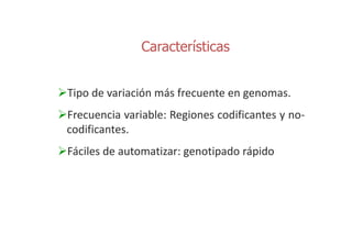 Sn ps y mejoramiento de arroz