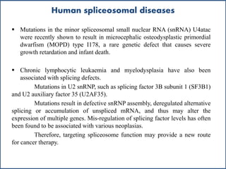 Human spliceosomal diseases
 Mutations in the minor spliceosomal small nuclear RNA (snRNA) U4atac
were recently shown to result in microcephalic osteodysplastic primordial
dwarfism (MOPD) type I178, a rare genetic defect that causes severe
growth retardation and infant death.
 Chronic lymphocytic leukaemia and myelodysplasia have also been
associated with splicing defects.
Mutations in U2 snRNP, such as splicing factor 3B subunit 1 (SF3B1)
and U2 auxiliary factor 35 (U2AF35).
Mutations result in defective snRNP assembly, deregulated alternative
splicing or accumulation of unspliced mRNA, and thus may alter the
expression of multiple genes. Mis-regulation of splicing factor levels has often
been found to be associated with various neoplasias.
Therefore, targeting spliceosome function may provide a new route
for cancer therapy.
 