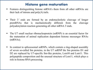 Histone gene maturation
 Features distinguishing histone mRNA’s them from all other mRNAs are
their lack of introns and poly(A) tails.
 Their 3’ ends are formed by an endonucleolytic cleavage of longer
premRNAs that is mechanistically different from the cleavage
polyadenylation reaction generating all other mRNA 3’ends.
 The U7 small nuclear ribonucleoprotein (snRNP) is an essential factor for
the maturation of animal replication dependent histone messenger RNAs
(mRNAs).
 In contrast to spliceosomal snRNPs, which contain a ring-shaped assembly
of seven so-called Sm proteins, in the U7 snRNP the Sm proteins D1 and
D2 are replaced by U7-specific Sm-like proteins, Lsm10 and Lsm11. This
polypeptide composition and the unusual structure of Lsm11, which plays a
role in histone RNA processing.
 