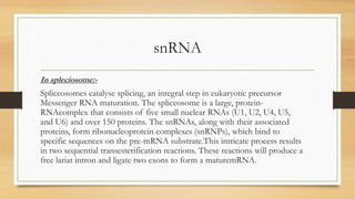 snRNA
In spleciosome:-
Spliceosomes catalyse splicing, an integral step in eukaryotic precursor
Messenger RNA maturation. The spliceosome is a large, protein-
RNAcomplex that consists of five small nuclear RNAs (U1, U2, U4, U5,
and U6) and over 150 proteins. The snRNAs, along with their associated
proteins, form ribonucleoprotein complexes (snRNPs), which bind to
specific sequences on the pre-mRNA substrate.This intricate process results
in two sequential transesterification reactions. These reactions will produce a
free lariat intron and ligate two exons to form a maturemRNA.
 