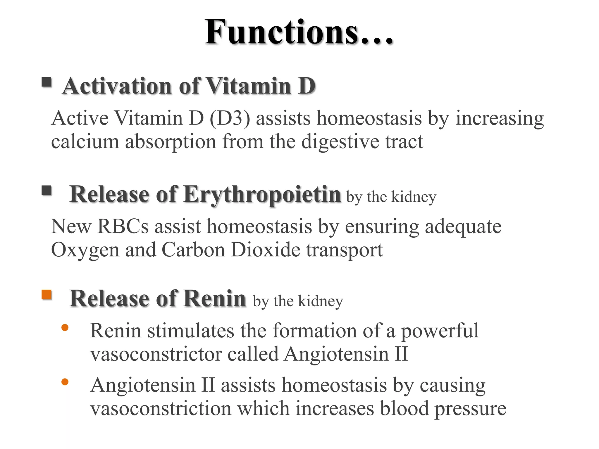 Functions…
 Activation of Vitamin D
Active Vitamin D (D3) assists homeostasis by increasing
calcium absorption from the digestive tract
 Release of Erythropoietin by the kidney
New RBCs assist homeostasis by ensuring adequate
Oxygen and Carbon Dioxide transport
 Release of Renin by the kidney
• Renin stimulates the formation of a powerful
vasoconstrictor called Angiotensin II
• Angiotensin II assists homeostasis by causing
vasoconstriction which increases blood pressure
 