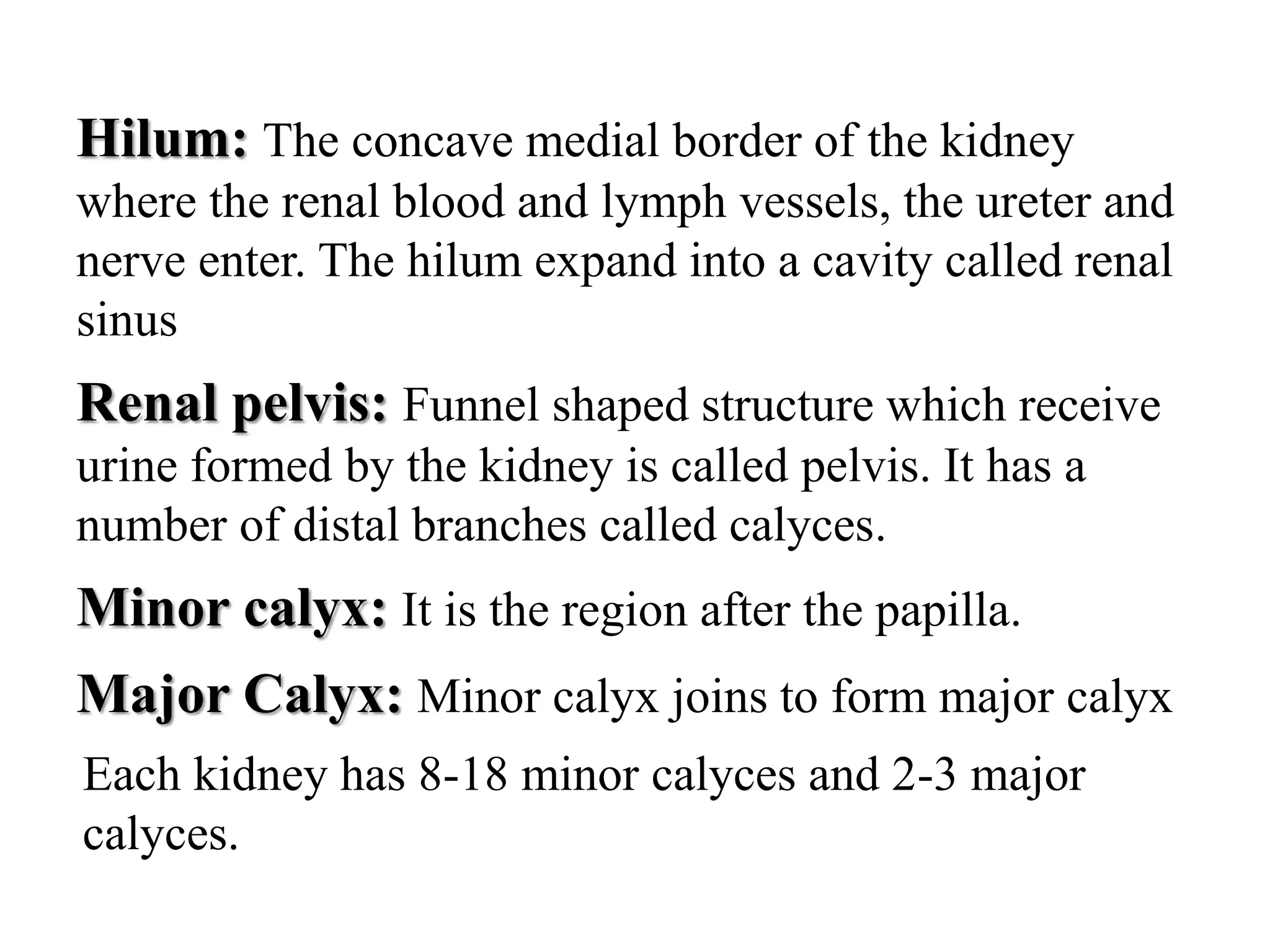 Hilum: The concave medial border of the kidney
where the renal blood and lymph vessels, the ureter and
nerve enter. The hilum expand into a cavity called renal
sinus
Renal pelvis: Funnel shaped structure which receive
urine formed by the kidney is called pelvis. It has a
number of distal branches called calyces.
Minor calyx: It is the region after the papilla.
Major Calyx: Minor calyx joins to form major calyx
Each kidney has 8-18 minor calyces and 2-3 major
calyces.
 