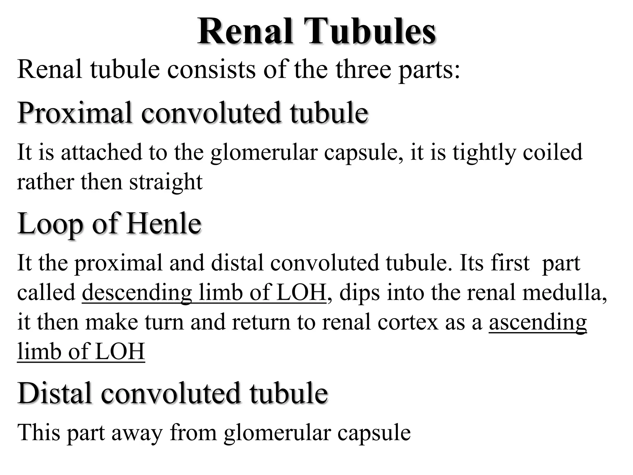 Renal Tubules
Renal tubule consists of the three parts:
Proximal convoluted tubule
It is attached to the glomerular capsule, it is tightly coiled
rather then straight
Loop of Henle
It the proximal and distal convoluted tubule. Its first part
called descending limb of LOH, dips into the renal medulla,
it then make turn and return to renal cortex as a ascending
limb of LOH
Distal convoluted tubule
This part away from glomerular capsule
 