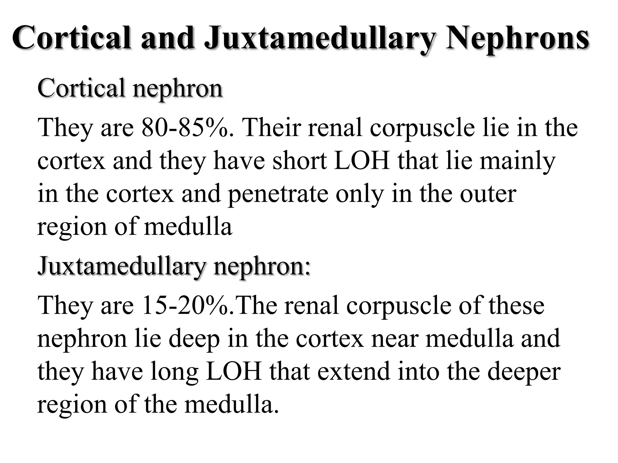 Cortical and Juxtamedullary Nephrons
Cortical nephron
They are 80-85%. Their renal corpuscle lie in the
cortex and they have short LOH that lie mainly
in the cortex and penetrate only in the outer
region of medulla
Juxtamedullary nephron:
They are 15-20%.The renal corpuscle of these
nephron lie deep in the cortex near medulla and
they have long LOH that extend into the deeper
region of the medulla.
 