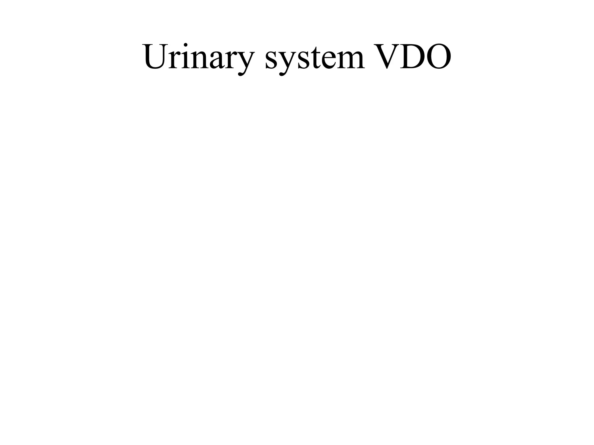 Urinary system VDO
 