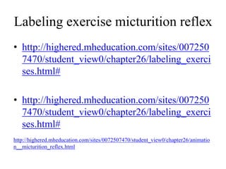 Labeling exercise micturition reflex
• http://highered.mheducation.com/sites/007250
7470/student_view0/chapter26/labeling_exerci
ses.html#
• http://highered.mheducation.com/sites/007250
7470/student_view0/chapter26/labeling_exerci
ses.html#
http://highered.mheducation.com/sites/0072507470/student_view0/chapter26/animatio
n__micturition_reflex.html
 