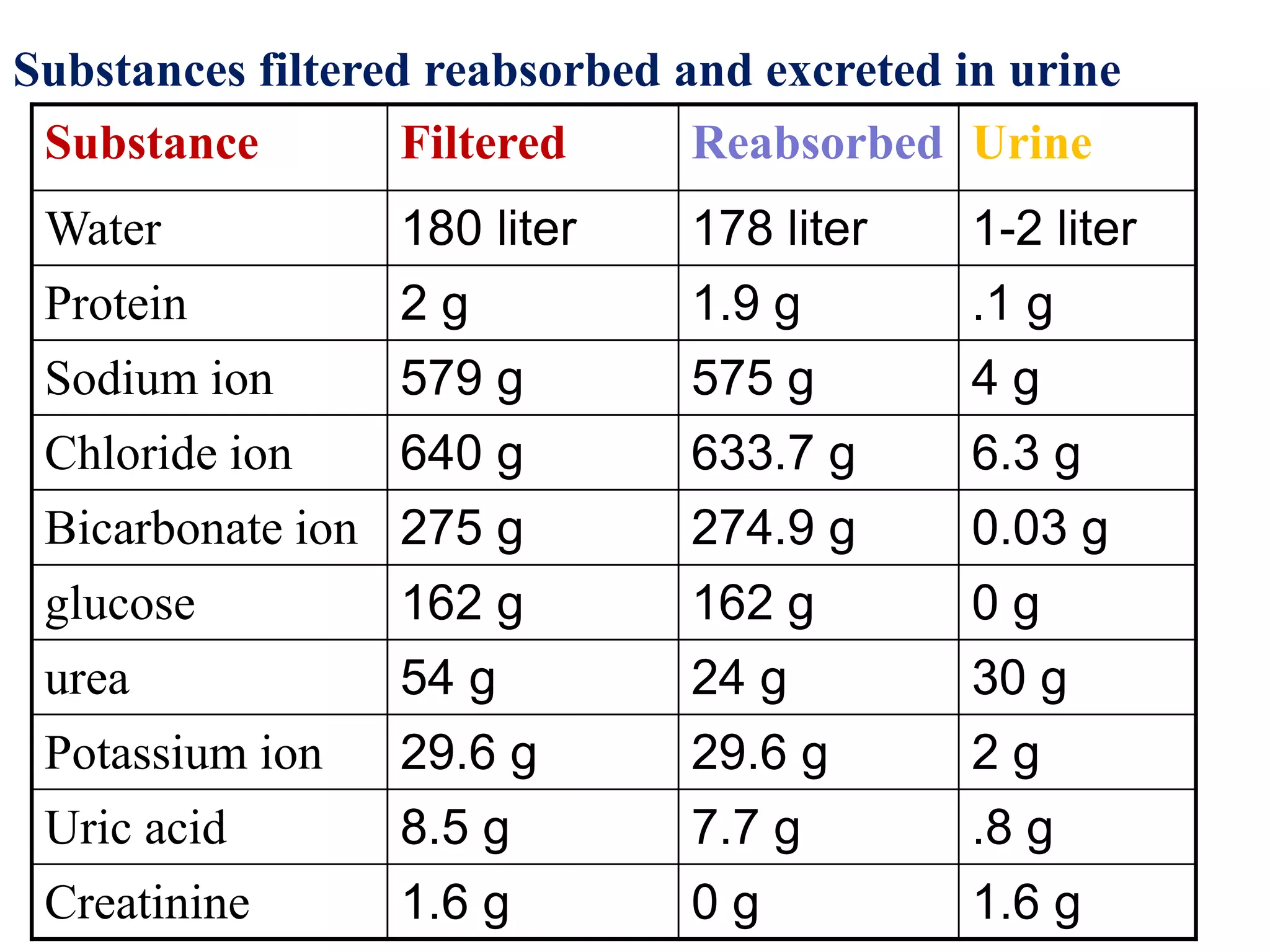 Substance Filtered Reabsorbed Urine
Water 180 liter 178 liter 1-2 liter
Protein 2 g 1.9 g .1 g
Sodium ion 579 g 575 g 4 g
Chloride ion 640 g 633.7 g 6.3 g
Bicarbonate ion 275 g 274.9 g 0.03 g
glucose 162 g 162 g 0 g
urea 54 g 24 g 30 g
Potassium ion 29.6 g 29.6 g 2 g
Uric acid 8.5 g 7.7 g .8 g
Creatinine 1.6 g 0 g 1.6 g
Substances filtered reabsorbed and excreted in urine
 