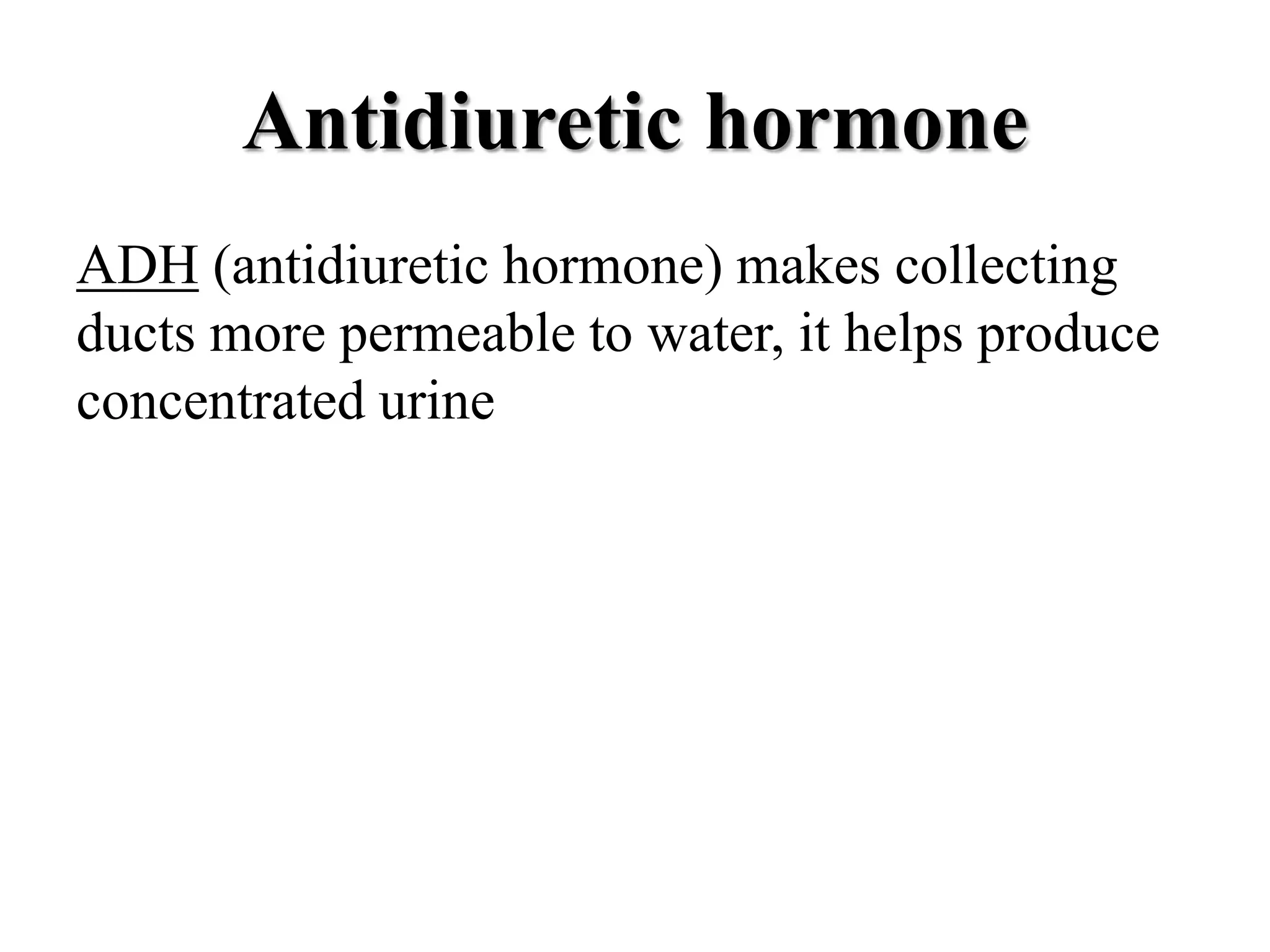 Antidiuretic hormone
ADH (antidiuretic hormone) makes collecting
ducts more permeable to water, it helps produce
concentrated urine
 