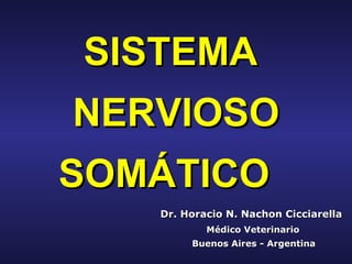 SISTEMA  NERVIOSO SOMÁTICO   Dr. Horacio N. Nachon Cicciarella   Médico Veterinario   Buenos Aires - Argentina 