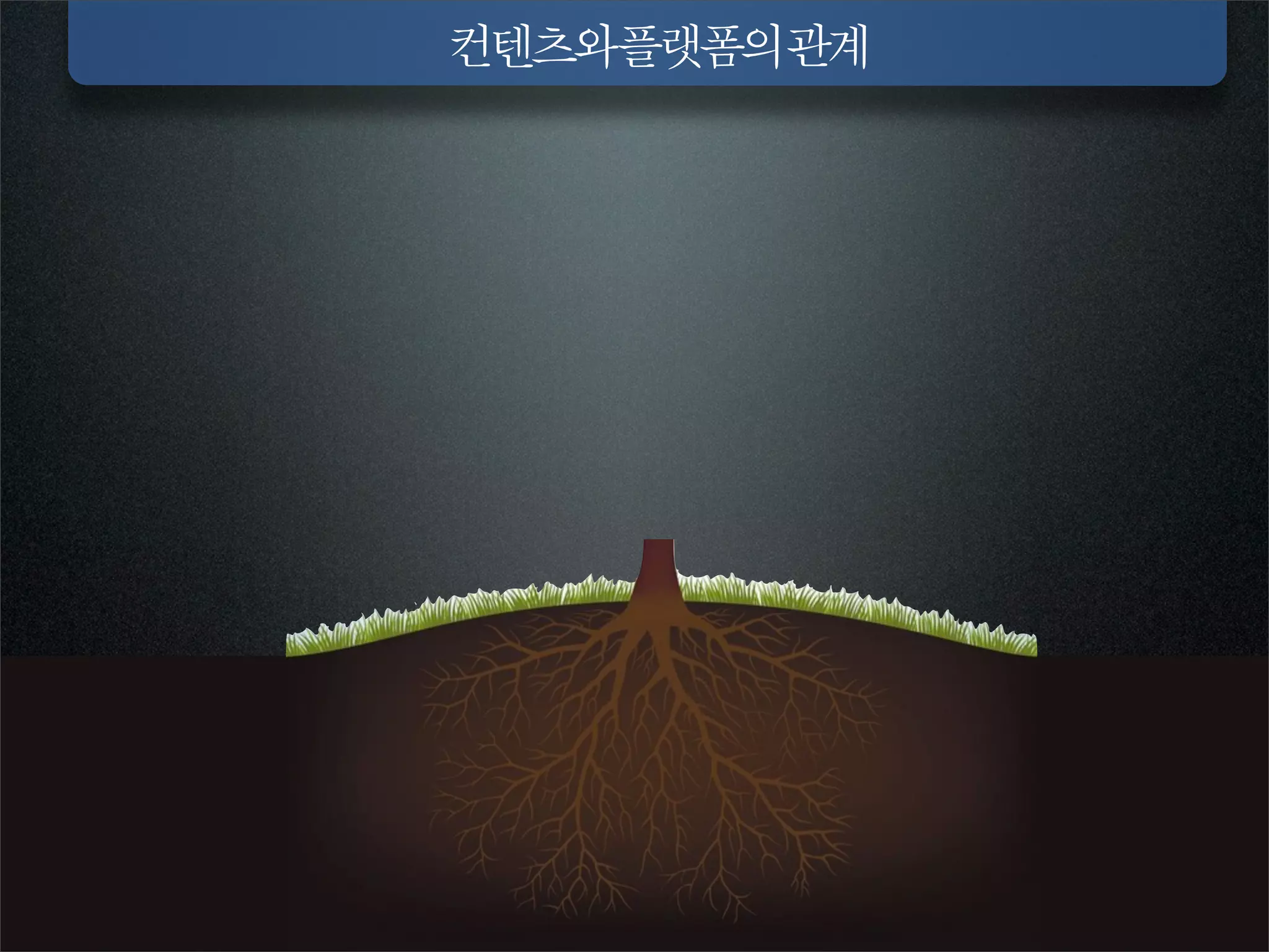 컨텐츠와플랫폼의관계
 