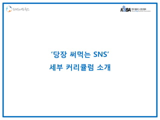 SNS네트웍스




          ‘당장 써먹는 SNS’
          세부 커리큘럼 소개
 