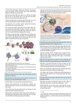 Dẫn nhập về Y học Sinh sản
Khái niệm về di truyền và biểu hiện gene. Khái niệm về kiểm soát thượng di truyền
5
Vì thế, DNA phải được “đóng gói” để được cất giữ một
cách “gọn gàng”. Tế bào chỉ truy cập và truy xuất những
thông tin cần thiết cho nó mà thôi.
Để thực hiện được điều này, phải có cơ chế lưu trữ, đồng
thời là các cơ chế tắt-mở các cơ sở dữ liệu của DNA.
Histone là một protein đảm nhận việc này.
Histone là một protein octamere, gồm 8 tiểu đơn vị, có vai
trò của một giàn giáo mà trên đó DNA được gắn vào.
146 cặp base ni-tơ sẽ được “quấn” quanh mỗi octamere
của histone, tạo ra một nucleosome.
Các nucleosome được cách nhau bởi các đoạn DNA nối.
Các nucleosome được gắn với nhau, một cách có cấu trúc,
để tồn trữ. Trong quá trình phân bào, nhiễm sắc chất co
cụm lại và được nhìn thấy ở dạng nhiễm sắc thể.
Khi đang ở trạng thái được cất giữ trong các nucleosome,
cơ sở dữ liệu cất giữ trong các DNA sẽ ở dạng không sẵn
sàng để truy cập. Muốn có biểu hiện gene, phải truy cập
được vào đoạn DNA tương ứng với gene đó.
Hình 3: DNA được gắn vào histone, tạo ra các nucleosome
Mỗi nucleosome gồm một lõi 8 histone (tím) quấn quanh bởi một đoạn
DNA dài 146 cặp base ni-tơ.
Histone H1 (vàng) cố định cấu trúc nucleosome, và kết chúng bó chặt với
nhau trong các vùng dị sắc.
Lưu ý đến các đuôi histone. Chúng có vai trò quan trọng trong việc bật
tắt các đoạn mã DNA.
Nguồn: carolguze.com (trên) slideshare.net (dưới trái) và frontiersin.org (dưới phải)
Điều hòa biểu hiện gene được thực hiện thông qua các
biến đổi của histone.
Bất thường của acetyl hóa hay khử acethyl của histone có
thể gây ra các thay đổi thượng di truyền.
Histone đóng vai trò quan trọng trong biểu hiện gene.
Histone trong nucleosome có các đuôi thò ra ngoài. Các
đuôi histone này là nơi xảy ra các quá trình acetyl hóa hay
khử acetyl.
Tiến trình acetyl hóa hay khử acetyl của histone là một
khâu then chốt trong biểu hiện gene.
Histone được acetyl hóa là một trong các điều kiện để có
biểu hiện gene. Khi histone được acetyl hóa, gene sẽ được
mở. Khi histone bị khử acetyl, gene sẽ bị đóng.
Lệch lạc trong kiểm soát acetyl hóa hay khử acetyl có thể
dẫn đến việc các gene bị điều hòa lên hay xuống một cách
bất thường, dẫn đến các biến đổi thượng di truyền.
Hình 4: Các đuôi acetyl hóa , methyl hóa, phosphoryl hóa của histone
Tác động trên các đuôi này có ý nghĩa quan trọng trong tiến trình biểu
hiện gene. Các gene có thể bị khóa hay bị mở bất thường khi tiến trình
acetyl hóa-khử acetyl bị hỗn loạn, tạo ra các biến đổi thượng di truyền.
Nguồn: Mojgan Rastegar. Annals of Anatomy192 (2010) 261–274
Rất nhiều gene được đánh dấu đi