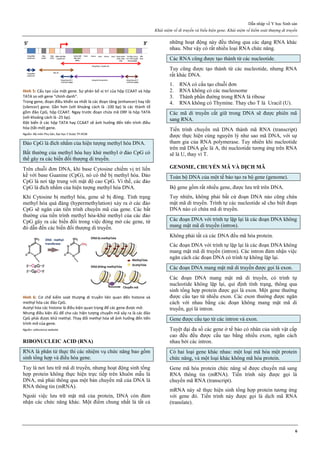 [Sản sách] tbl phụ khoa 2020