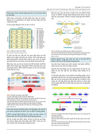 [Sản sách] tbl phụ khoa 2020