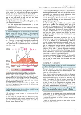[Sản sách] tbl phụ khoa 2020