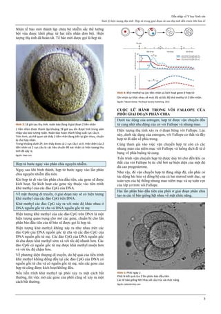 [Sản sách] tbl phụ khoa 2020