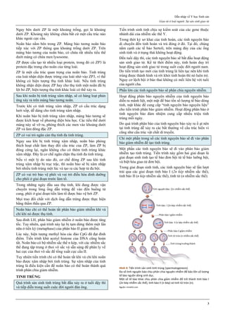 [Sản sách] tbl phụ khoa 2020
