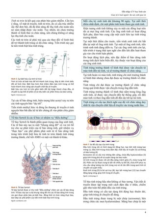 [Sản sách] tbl phụ khoa 2020