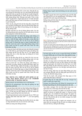 [Sản sách] tbl phụ khoa 2020
