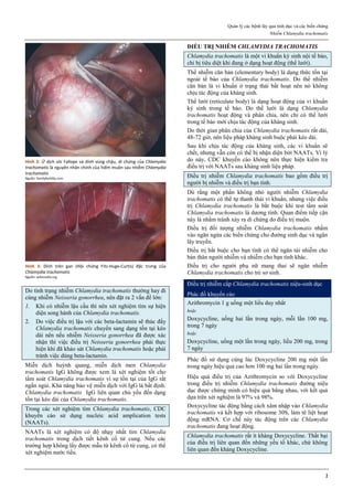 Quản lý các bệnh lây qua tình dục và các biến chứng
Nhiễm Chlamydia trachomatis
2
Hình 2: Ứ dịch vòi Fallope và dính vùng chậu, di chứng của Chlamydia
trachomatis là nguyên nhân chính của hiếm muộn sau nhiễm Chlamydia
trachomatis
Nguồn: familyfertility.com
Hình 3: Dính trên gan (Hội chứng Fitz-Huge-Curtis) đặc trưng của
Chlamydia trachomatis
Nguồn: wikimedia.org
Do tình trạng nhiễm Chlamydia trachomatis thường hay đi
cùng nhiễm Neisseria gonorrhea, nên đặt ra 2 vấn đề lớn:
1. Khi có nhiễm lậu cầu thì nên xét nghiệm tìm sự hiện
diện song hành của Chlamydia trachomatis.
2. Do việc điều trị lậu với các beta-lactamin sẽ thúc đẩy
Chlamydia trachomatis chuyển sang dạng tồn tại kéo
dài nên nếu nhiễm Neisseria gonorrhea đã được xác
nhận thì việc điều trị Neisseria gonorrhea phải thực
hiện khi đã khảo sát Chlamydia trachomatis hoặc phải
tránh việc dùng beta-lactamin.
Miễn dịch huỳnh quang, miễn dịch men Chlamydia
trachomatis IgG không được xem là xét nghiệm tốt cho
tầm soát Chlamydia trachomatis vì sự tồn tại của IgG rất
ngắn ngủi. Khả năng bảo vệ miễn dịch với IgG là bất định.
Chlamydia trachomatis IgG liên quan chủ yếu đến dạng
tồn tại kéo dài của Chlamydia trachomatis.
Trong các xét nghiệm tìm Chlamydia trachomatis, CDC
khuyến cáo sử dụng nucleic acid amplication tests
(NAATs).
NAATs là xét nghiệm có độ nhạy nhất tìm Chlamydia
trachomatis trong dịch tiết kênh cổ tử cung. Nếu các
trường hợp không lấy được mẫu từ kênh cổ tử cung, có thể
xét nghiệm nước tiểu.
ĐIỀU TRỊ NHIỄM CHLAMYDIA TRACHOMATIS
Chlamydia trachomatis là một vi khuẩn ký sinh nội tế bào,
chỉ bị tiêu diệt khi đang ở dạng hoạt động (thể lưới).
Thể nhiễm căn bản (elementary body) là dạng thức tồn tại
ngoài tế bào của Chlamydia trachomatis. Do thể nhiễm
căn bản là vi khuẩn ở trạng thái bất hoạt nên nó không
chịu tác động của kháng sinh.
Thể lưới (reticulate body) là dạng hoạt động của vi khuẩn
ký sinh trong tế bào. Do thể lưới là dạng Chlamydia
trachomatis hoạt động và phân chia, nên chỉ có thể lưới
trong tế bào mới chịu tác động của kháng sinh.
Do thời gian phân chia của Chlamydia trachomatis rất dài,
48-72 giờ, nên liệu pháp kháng sinh buộc phải kéo dài.
Sau khi chịu tác động của kháng sinh, các vi khuẩn sẽ
chết, nhưng vẫn còn có thể bị nhận diện bởi NAATs. Vì lý
do này, CDC khuyến cáo không nên thực hiện kiểm tra
điều trị với NAATs sau kháng sinh liệu pháp.
Điều trị nhiễm Chlamydia trachomatis bao gồm điều trị
người bị nhiễm và điều trị bạn tình.
Dù rằng một phần không nhỏ người nhiễm Chlamydia
trachomatis có thể tự thanh thải vi khuẩn, nhưng việc điều
trị Chlamydia trachomatis là bắt buộc khi test tầm soát
Chlamydia trachomatis là dương tính. Quan điểm tiếp cận
này là nhằm tránh xảy ra di chứng do điều trị muộn.
Điều trị đối tượng nhiễm Chlamydia trachomatis nhằm
vào ngăn ngừa các biến chứng cho đường sinh dục và ngăn
lây truyền.
Điều trị bắt buộc cho bạn tình có thể ngăn tái nhiễm cho
bản thân người nhiễm và nhiễm cho bạn tình khác.
Điều trị cho người phụ nữ mang thai sẽ ngăn nhiễm
Chlamydia trachomatis cho trẻ sơ sinh.
Điều trị nhiễm cấp Chlamydia trachomatis niệu-sinh dục
Phác đồ khuyến cáo
Azithromycin 1 g uống một liều duy nhất
hoặc
Doxycycline, uống hai lần trong ngày, mỗi lần 100 mg,
trong 7 ngày
hoặc
Doxycycline, uống một lần trong ngày, liều 200 mg, trong
7 ngày
Phác đồ sử dụng cùng lúc Doxycycline 200 mg một lần
trong ngày hiệu quả cao hơn 100 mg hai lần trong ngày.
Hiệu quả điều trị của Azithromycin so với Doxycycline
trong điều trị nhiễm Chlamydia trachomatis đường niệu
dục được chứng minh có hiệu quả bằng nhau, với kết quả
dựa trên xét nghiệm là 97% và 98%.
Doxycycline tác động bằng cách xâm nhập vào Chlamydia
trachomatis và kết hợp với ribosome 30S, làm tê liệt hoạt
động mRNA. Cơ chế này tác động trên các Chlamydia
trachomatis đang hoạt động.
Chlamydia trachomatis rất ít kháng Doxycycline. Thất bại
của điều trị liên quan đến những yếu tố khác, chứ không
liên quan đến kháng Doxycycline.
 