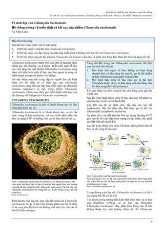 Quản lý các bệnh lây qua tình dục và các biến chứng
Vi sinh học của Chlamydia trachomatis. Hệ thống phòng vệ miễn dịch và kết cục của nhiễm Chlamydia trachomatis
5
Vi sinh học của Chlamydia trachomatis
Hệ thống phòng vệ miễn dịch và kết cục của nhiễm Chlamydia trachomatis
Âu Nhựt Luân
Mục tiêu bài giảng
Sau khi học xong, sinh viên có khả năng:
1. Trình bày được vòng đời của Chlamydia trachomatis
2. Trình bày được các đặc trưng của đáp ứng miễn dịch ở đường sinh dục nữ với Chlamydia trachomatis
3. Trình bày được nguyên tắc điều trị Chlamydia trachomatis niệu-dục và phân tích được khó khăn khi điều trị dạng tồn tại
Chlamydia trachomatis được biết đến như là nguyên nhân
chính gây tổn thương vòi Fallope. Diễn biến dịch tễ học
của việc tăng tần suất nhiễm Chlamydia trachomatis song
hành với diễn biến dịch tễ học của thai ngoài tử cung và
hiếm muộn do nguyên nhân vòi Fallope.
Bài này nhằm mục tiêu cung cấp cho người đọc các khái
niệm cốt lõi nhất về vi sinh học của Chlamydia
trachomatis cũng như các đáp ứng miễn dịch vật chủ (host
immune responses) cơ bản trong nhiễm Chlamydia
trachomatis, nhằm mục đích giải thích bệnh sinh học của
tổn thương vòi Fallope do Chlamydia trachomatis.
CHLAMYDIA TRACHOMATIS
Chlamydia trachomatis là một vi khuẩn Gram âm với chu
trình phát triển hai thì.
Chlamydia trachomatis là vi khuẩn Gram âm, cư trú bắt
buộc trong tế bào eukaryota, với chu trình phát triển hai
pha, sử dụng ATP và dưỡng chất của tế bào chủ để tồn tại.
Hình 1: Chlamydia trachomatis là vi khuẩn cư trú bắt buộc trong tế bào
Hình quét trên kính hiển vi điện tử một tế bào người trên môi trường
nuôi cấy (tế bào HeLa) bị nhiễm Chlamydia trachomatis. Các thể lưới của
Chlamydia trachomatis nằm trong thể vùi, ở bên trong của các tế bào
eukaryota.
Nguồn: abcnews.go.com
Trên đường sinh dục nữ, mục tiêu tấn công của Chlamydia
trachomatis là các tế bào biểu mô trụ phân cực lót từ kênh
cổ tử cung cho đến biểu mô đường sinh dục trên, tức các tế
bào lệ thuộc estrogen.
Vòng đời đặc trưng của Chlamydia trachomatis thể hiện
qua hai hình thái tồn tại:
1. Một hình thái ngoài tế bào, không có hoạt động
chuyển hoá, có khả năng lây truyền, gọi là thể nhiễm
cơ bản (infectious elementary body) (EB).
2. Một hình thái trong tế bào chủ, gọi là thể lưới
(reticulate body) (RB), có khả năng sinh sản bằng chia
đôi bên trong thể vùi (inclusion).
EB xâm nhập vào bên trong tế bào chủ bằng cách gắn kết
với tế bào.
Sau khi xâm nhập thành công tế bào chủ, các EB được tái
cấu trúc lại, to lên và trở thành RB.
Các RB sau đó sẽ phân chia, lấp đầy các nội thể
(endosome). Nội thể chứa đầy RB được gọi là thể vùi
(chlamydial cytoplasmic inclusion).
Sự phân chia của RB kéo dài liên tục trong khoảng 48-72
giờ, sau đó sẽ xuất hiện hiện tượng cô đặc nhân, cho phép
các RB biến đổi thành EB.
Sau khi hoàn thành tiến trình, EB được phóng thích khỏi tế
bào và tấn công tế bào mới.
Hình 2: Vòng đời của Chlamydia trachomatis
Tổng thời gian từ lúc các EB của Chlamydia trachomatis xâm nhập được
vào tế bào đến lúc các EB được phóng thích ra ngoài do sự trục xuất thể
vùi là khoảng 4-7 ngày.
Nguồn: pedsinreview.aappublications.org
Trong đường sinh dục nữ, Chlamydia trachomatis có thể ở
các trạng thái đã mô tả trên.
Tuy nhiên, trong những điều kiện nhất định như: sự có mặt
của interferon (IFN-γ), sự có mặt của Penicillin,
Chlamydia trachomatis phải phát triển trong các tế bào
không thuận lợi, môi trường thiếu sắt, thì Chlamydia
 