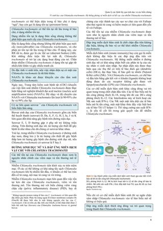 Quản lý các bệnh lây qua tình dục và các biến chứng
Vi sinh học của Chlamydia trachomatis. Hệ thống phòng vệ miễn dịch và kết cục của nhiễm Chlamydia trachomatis
6
trachomatis có thể hiện diện trong tế bào chủ ở dạng
“ngủ”, hay còn gọi là dạng tồn tại (persistent form).
Chlamydia trachomatis có thể tồn tại rất lâu trong tế bào
chủ, ở dạng nhiễm tồn tại.
Dạng nhiễm tồn tại là dạng thức sống nhưng không thể
phát hiện qua nuôi cấy của Chlamydia trachomatis.
Đây là dạng thức sống nhưng không thể phát hiện qua nuôi
cấy (non-cultivable) của Chlamydia trachomatis, và cho
phép nó tồn tại rất lâu trong tế bào chủ. Ở dạng này, các
RB rất to, được gọi là các thể sai (aberrant bodies) (AB).
Khi những điều kiện bất lợi mất đi, Chlamydia
trachomatis sẽ trở lại các dạng hoạt động của nó. Chẩn
đoán nhiễm Chlamydia trachomatis ở dạng tồn tại gặp rất
nhiều khó khăn và gây nhiều tranh cãi.
Do đặc tính vi sinh trên, nên việc nhận diện sự có mặt của
Chlamydia trachomatis là rất khó khăn.
NAATs là khảo sát được khuyến cáo cho tầm soát
Chlamydia trachomatis.
Ngày nay, Trung tâm kiểm soát bệnh tật (CDC) khuyến
cáo việc tầm soát nhiễm Chlamydia trachomatis được thực
hiện bằng xét nghiệm khuếch đại acid nucleic (nucleic acid
amplification tests) (NAATs). Độ nhạy và độ chuyên của
NAATs với Chlamydia trachomatis lần lượt là 90-95% cho
Se và 99% cho Sp.
Có sự liên quan serovar 1
của Chlamydia trachomatis với
biểu hiện lâm sàng.
Biovar sinh dục của Chlamydia trachomatis gồm các biến
thể huyết thanh (serovar) D, Da, E, F, G, H, I, Ia, J và K
liên quan đến khả năng gây bệnh trên đường niệu dục.
Serovar E, I, D thường gặp ở phụ nữ trẻ không triệu
chứng. Trên đường sinh dục nữ, tải lượng cần thiết để gây
bệnh là như nhau cho dù chúng có serovar khác nhau.
Trái lại, trong nhiễm Chlamydia trachomatis ở đường sinh
dục nam, đáng lưu ý là tải lượng cần thiết để gây bệnh
thấp hơn tải lượng gây bệnh cho đường sinh dục nữ, nếu
Chlamydia trachomatis có serovar là F hay J.
ĐƯỜNG SINH DỤC NỮ VÀ ĐÁP ỨNG MIỄN DỊCH
VẬT CHỦ VỚI CHLAMYDIA TRACHOMATIS
Các thể tồn tại của Chlamydia trachomatis được xem là
nguyên nhân chính của viêm mạn và tổn thương mô tế
bào.
Nhiễm Chlamydia trachomatis tiên khởi xảy ra trên niêm
mạc. Ở các cá thể không có khả năng tẩy sạch Chlamydia
trachomatis khi bị nhiễm lần đầu, vi khuẩn có thể lan tràn
đến cổ tử cung, nội mạc tử cung và vòi trứng.
Nhiễm Chlamydia trachomatis mạn liên quan đến việc tồn
tại kéo dài của Chlamydia trachomatis, viêm và tổn
thương mô. Tổn thương mô với biến chứng viêm vùng
chậu cấp (pelvic inflammatory disease) (PID), hay di
1
Kháng nguyên protein màng tế bào của C. trachomatis có liên quan đến
đặc điểm gây bệnh. Phức bộ màng ngoài B (Outer membrane complex B)
(OmcB) đã được biết như là một kháng nguyên chủ lực của C.
trachomatis. Căn cứ trên các đặc tính của OmcB, có thể nhận diện được 2
biến thể sinh học (biovars) của Chlamydia: trachoma biovar và genital
biovar.
chứng của việc thành tạo các sẹo xơ chai của vòi Fallope
như thai ngoài tử cung và hiếm muộn có liên quan đến yếu
tố vòi Fallope.
Các thể tồn tại của nhiễm Chlamydia trachomatis được
xem như là nguyên nhân chính của viêm mạn và tổn
thương mô tế bào.
Đáp ứng miễn dịch bẩm sinh là chốt chặn đầu tiên không
đặc hiệu, không đủ bảo vệ cơ thể khỏi nhiễm Chlamydia
trachomatis.
Miễn dịch bẩm sinh (innate immunity) hay còn gọi là miễn
dịch không đặc hiệu là các đáp ứng đầu tiên với
Chlamydia trachomatis. Hệ thống miễn nhiễm ở đường
sinh dục nữ có khả năng nhận biết các phân tử lạ của các
tác nhân vi sinh xâm nhập. Sự nhận diện này được thực
hiện qua các thụ thể có trên tế bào đuôi gai (dendritic
cells) (DCs), đại thực bào, tế bào giết tự nhiên (Natural
Killer cells) (NK). Với Chlamydia trachomatis, cơ chế bảo
vệ đầu tiên bằng gắn kết với vi khuẩn (ligands) không hoạt
động được do các receptor không gắn được với
lipopolysaccharide (LPS) của Chlamydia trachomatis.
Các cơ chế miễn dịch bẩm sinh khác cũng đóng vai trò
quan trọng trong chốt chặn đầu tiên. Các tế bào biểu mô bị
tấn công phóng thích IL-18, trong khi đó các DCs cũng
phóng thích IL-12. Các Interleukins này sẽ kích hoạt các
NK sản xuất IFN-γ. Các NK một mặt tiêu diệt các tế bào
biểu mô bị tấn công, một mặt khác thúc đẩy việc biệt hoá
các tế bào Th1 (T helper 1). Th1 tăng cường sản xuất IFN-
γ, là yếu tố cốt lõi trong giải quyết vấn đề nhiễm
Chlamydia trachomatis.
Hình 3: Các thành phần của miễn dịch bẩm sinh tham gia vào tiến trình
bảo vệ khi bị tấn công bởi Chlamydia trachomatis
DCs phóng thích IL-12. NK bị kích hoạt bởi IL-12 sẽ tấn công tế bào bị
nhiễm. NK cells sản xuất IFN- thúc đẩy biệt hoá Th1 qua đó tối ưu hoá
phóng thích IFN-.
Nguồn: frontiersin.org
Nếu chỉ có cơ chế miễn dịch bẩm sinh thì sự ngăn chặn
xâm nhập Chlamydia trachomatis vào tế bào biểu mô sẽ
không có hiệu quả.
Đáp ứng miễn dịch thích ứng đóng vai trò quan trọng
trong thanh thải Chlamydia trachomatis.
 
