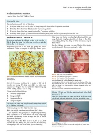 Quản lý các bệnh lây qua tình dục và các biến chứng
Nhiễm Treponema Pallidum
1
Nhiễm Treponema pallidum
Nguyễn Hồng Hoa, Ngô Thị Kim Phụng
Mục tiêu bài giảng
Sau khi học xong, sinh viên có khả năng:
1. Trình bày được giá trị của các công cụ dùng trong chẩn đoán nhiễm Treponema pallidum
2. Trình bày được chiến lược điều trị nhiễm Treponema pallidum
3. Trình bày được chiến lược phòng tránh nhiễm Treponema pallidum
4. Trình bày được nguyên lý của tầm soát và chiến lược phòng tránh nhiễm Treponema pallidum bẩm sinh
NHIỄM TREPONEMA PALLIDUM
Treponema pallidum là vi khuẩn kỵ khí và di chuyển, vì
thế dễ dàng xâm nhập vào niêm mạc nguyên vẹn của âm
hộ, âm đạo và cổ tử cung.
Treponema pallidum là tác nhân gây giang mai, thuộc
nhóm xoắn khuẩn, có động lực rất mạnh gây bệnh ở người.
Hình 1: Xoắn khuẩn Treponama pallidum trên tiêu bản nhuộm modified
Steiner silver.
Nguồn: phil.cdc.gov
Bởi vì Treponema pallidum là vi khuẩn kỵ khí và di
chuyển nên chúng dễ dàng xâm nhập vào niêm mạc
nguyên vẹn. Ở người phụ nữ, vị trí xâm nhập thường gặp
nhất là âm hộ, âm đạo và cổ tử cung.
Giang mai có nhiều giai đoạn:
1. Giai đoạn nguyên phát
2. Giang mai kỳ II
3. Giang mai tiềm ẩn
4. Giang mai kỳ III
Đặc trưng của giang mai nguyên phát là săng giang mai tại
vị trí vi khuẩn xâm nhập.
Vi khuẩn giang mai xâm nhập vào niêm mạc.
Thời gian ủ bệnh của giang mai từ 1 tuần đến 3 tháng.
Ở giai đoạn đầu, săng giang mai là sang thương đặc trưng.
Săng xuất hiện ở vị trí mà vi khuẩn xâm nhập.Săng giang
mai xuất hiện khoảng 10 tới 60 ngày sau khi bị nhiễm
Treponema pallidum.
Săng giang mai có đặc điểm là có bờ rõ, hơi gồ cao, hình
tròn hay bầu dục, không đau, đáy sạch màu đỏ, nền cứng,
thường thấy ở môi lớn, có thể ở âm đạo và cổ tử cung.
Săng giang mai thường kèm theo hạch. Hạch xuất hiện sau
săng, thường ở vùng bẹn cùng bên với săng, có đặc điểm
chắc di động, không đau. Săng có thể tự lành trong vòng từ
3 đến 6 tuần.
Sau đó, vi khuẩn xâm nhập vào máu. Thường thì vi khuẩn
tạo đáp ứng miễn dịch trong khoảng 4-6 tuần.
Hình 2a: (trái) Săng giang mai ở âm hộ
Hình 2b: (phải, trên) Săng giang mai ở vòm khẩu
Hình 2c: (phải dưới) Săng giang mai ở lưỡi
Săng giang mai là đặc trưng của giang mai nguyên phát.
Săng giang mai có bờ rõ, hơi gồ cao, hình tròn hay bầu dục, không đau,
đáy sạch màu đỏ, nền cứng, thường thấy ở môi lớn. Săng cũng có thể
thấy ở tất cả các vị trí khác do hành vi tình dục không qua đường sinh
dục như ở miệng.
Nguồn: book-med.info (2a) / throwingvofj.es.tl (2b)/ studyblue.com(2c)
Khoảng 4-8 tuần sau khi săng giang mai xuất hiện, sẽ có
giang mai kỳ II.
Biểu hiện thường gặp của giang mai kỳ II là nổi ban ở da
với các sẩn màu nâu hoặc đỏ ở lòng bàn tay và bàn chân.
Hình 3: Sẩn giang mai kz II
Nổi ban ở da với các sẩn màu nâu hoặc đỏ ở lòng bàn tay và bàn chân.
Nguồn: jeffreysterlingmd.com
 