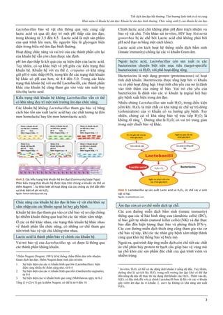 Tiết dịch âm đạo bất thường. Tổn thương lành tính ở cổ tử cung
Khái niệm về khuẩn hệ âm đạo. Khuẩn hệ âm đạo bình thường. Chức năng sinh lý của khuẩn hệ âm đạo
2
Lactobacillus bảo vệ vật chủ thông qua việc cung cấp
lactic acid và qua đó duy trì một pH thấp của âm đạo,
trong khoảng từ 3.5 đến 4.5. Lactic acid là một sản phẩm
của quá trình lên men, lấy nguyên liệu là glycogen hiện
diện trong biểu mô âm đạo bình thường.
Hoạt động chức năng và vai trò của các thành phần còn lại
của khuẩn hệ vẫn còn chưa được xác định.
pH âm đạo thấp là kết quả của sự hiện diện của lactic acid,
Tuy nhiên, có sự khác biệt về pH giữa các kiểu trạng thái
khuẩn hệ. Khuẩn hệ với ưu thế L. crispatus có khả năng
giữ pH ở mức thấp (4.0), trong khi đó các trạng thái khuẩn
hệ khác có pH cao hơn, từ 4.4 đến 5.0. Trong các kiểu
trạng thái khuẩn hệ với ưu thế Lactobacilli, các thành phần
khác của khuẩn hệ cũng tham gia vào việc sản xuất hay
tiêu thụ lactic acid.
Kiểu trạng thái khuẩn hệ không Lactobacillus vẫn có thể
có khả năng duy trì một môi trường âm đạo chức năng.
Các khuẩn hệ không Lactobacillus tham gia bảo vệ bằng
cách bảo tồn sản xuất lactic acid hay các chất tương tự (lên
men homolactic hay lên men heterolactic acid).
Hình 2: Các kiểu trạng thái khuẩn hệ âm đạo (Community State Type)
Phân kiểu trạng thái khuẩn hệ được dựa trên chủng vi khuẩn ưu thế và
điểm Nugent 2
. Sự khác biệt về hoạt động của các chủng ưu thế dẫn đến
sự khác biệt về pH và H2O2.
Nguồn: femsre.oxfordjournals.org
Chức năng của khuẩn hệ âm đạo là bảo vệ vật chủ khỏi sự
xâm nhập của các khuẩn ngoại lai hay gây bệnh.
Khuẩn hệ âm đạo tham gia vào cơ chế bảo vệ sơ cấp chống
lại nhiễm khuẩn thông qua loại bỏ các tác nhân xâm nhập.
Ở các cá thể khác nhau, các trạng thái khuẩn hệ khác nhau
về thành phần lẫn chức năng, có những cơ chế tham gia
tiến trình bảo vệ vật chủ không như nhau.
Lactic acid là thành phần bảo vệ chính của khuẩn hệ.
Vai trò bảo vệ của Lactobacillus sp. có được là thông qua
các thành phần kháng khuẩn.
2
Điểm Nugent (Nugent, 1991) là hệ thống chấm điểm dựa trên nhuộm
Gram dịch âm đạo. Điểm Nugent được tính căn cứ trên:
1. Sự hiện diện của các vi khuẩn hình que lớn (Lactobacillus): hiện
diện càng nhiều thì điểm càng nhỏ, từ 0-4
2. Sự hiện diện của các vi khuẩn hình que nhỏ (Gardnerella vaginalis),
từ 0-4
3. Sự hiện diện của vi khuẩn hình que cong (Mobiluncus spp), từ 0-2
Tổng (1)+(2)+(3) gọi là điểm Nugent, có thể là từ 0 đến 10.
Chính lactic acid chứ không phải pH đảm trách nhiệm vụ
bảo vệ vật chủ. Trên khảo sát in-vitro, HIV hay Neisseria
gonorrhea bị ức chế bởi Lactic acid chứ không phải bởi
pH acid (tạo ra bằng một cách khác).
Lactic acid còn kích hoạt hệ thống miễn dịch bẩm sinh
(innate immunity) chống lại các vi khuẩn Gram âm.
Ngoài lactic acid, Lactobacillus còn sản xuất ra các
bacteriocins chuyên biệt trên mục tiêu (target-specific
bacteriocins) và H2O2 với phổ hoạt động rộng.
Bacteriocins là một dạng protein (proteinaceous) có hoạt
tính diệt khuẩn. Bacteriocins được tổng hợp bởi vi khuẩn
và có phổ hoạt động hẹp. Hoạt tính chủ yếu của nó là đánh
vào tính thấm của màng tế bào. Vai trò chủ yếu của
bacteriocins là đánh vào các vi khuẩn lạ (ngoại lai) hay
gây bệnh xuất hiện trong âm đạo.
Nhiều chủng Lactobacillus sản xuất H2O2 trong điều kiện
yếm khí. H2O2 là một chất có khả năng ức chế sự trú đóng
(colonization) của vi khuẩn có xu hướng gây bệnh. Tuy
nhiên, chứng cứ về khả năng bảo vệ trực tiếp H2O2 là
không rõ ràng 3
. Dường như là H2O2 có vai trò trung gian
trong một chuỗi bảo vệ khác.
Hình 3: Lactobacillus sp sản xuất Lactic acid và H2O2, ức chế các vi sinh
vật có hại.
Nguồn: mcwhealthcare.com
Âm đạo còn có cơ chế miễn dịch tại chỗ.
Các con đường miễn dịch bẩm sinh (innate immunity)
thông qua các tế bào hình răng cưa (dendritic cells) (DC),
tế bào giết tự nhiên (natural killer cells) (NK) và đại thực
bào dẫn đến hiện tượng thực bào và phóng thích IFN-γ.
Các con đường miễn dịch thích ứng cũng tham gia vào cơ
chế bảo vệ này, khi các tác nhân gây bệnh xâm nhập thành
công qua khỏi hệ thống bảo vệ biểu mô.
Ngoài ra, quá trình đáp ứng miễn dịch còn chế tiết các chất
ức chế phân hủy protein từ bạch cầu giúp bảo vệ vùng mô
tại chỗ khỏi các sản phẩm độc chất của quá trình viêm và
nhiễm trùng.
3
In-vitro, H2O2 có thể có tác động diệt khuẩn ở nồng độ độc. Tuy nhiên,
dường như là sự tích lũy H2O2 trong môi trường âm đạo khó có thể đạt
đến nồng độ độc để thực thi tác dụng diệt khuẩn của H2O2. Thêm vào đó,
H2O2 có độc tính đối với cả chính Lactobacilli hơn là đối với các vi khuẩn
gây viêm âm đạo do vi khuẩn. L. iners lại không có khả năng sản xuất
H2O2.
 