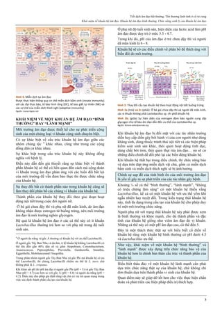 Tiết dịch âm đạo bất thường. Tổn thương lành tính ở cổ tử cung
Khái niệm về khuẩn hệ âm đạo. Khuẩn hệ âm đạo bình thường. Chức năng sinh lý của khuẩn hệ âm đạo
3
Hình 4: Miễn dịch tại âm đạo
Được thực hiện thông qua cơ chế miễn dịch bẩm sinh (innate immunity)
với các đại thực bào, tế bào hình răng (DC), tế bào giết tự nhiên (NK) và
các cơ chế của miễn dịch thích nghi (adaptive immunity)
Nguồn: researchgate.net
KHÁI NIỆM VỀ MỘT KHUẨN HỆ ÂM ĐẠO “BÌNH
THƯỜNG” HAY “LÀNH MẠNH”
Môi trường âm đạo được thiết kế cho sự phát triển cộng
sinh của một chủng loại vi khuẩn cộng sinh chuyên biệt.
Có sự khác biệt về cấu trúc khuẩn hệ âm đạo giữa các
nhóm chủng tộc 4
khác nhau, cũng như trong các cộng
đồng dân cư khác nhau.
Sự khác biệt trong cấu trúc khuẩn hệ này không đồng
nghĩa với bệnh lý.
Điều này dẫn đến giả thuyết rằng sự khác biệt về thành
phần khuẩn hệ có thể có liên quan đến cách mà cộng đoàn
vi khuẩn trong âm đạo phản ứng với các biến đổi bất lợi
của môi trường để vẫn đảm bảo thực thi được chức năng
của khuẩn hệ.
Sự thay đổi bất cứ thành phần nào trong khuẩn hệ cũng sẽ
làm thay đổi phân bố các chủng vi khuẩn của khuẩn hệ.
Thành phần của khuẩn hệ thay đổi theo giai đoạn hoạt
động nội tiết trong cuộc đời người nữ.
Ở bé gái chưa dậy thì và phụ nữ đã mãn kinh, do âm đạo
không nhận được estrogen từ buồng trứng, nên môi trường
âm đạo là môi trường nghèo glycogen.
Hệ quả là khuẩn hệ âm đạo ở các cá thể này có ít khuẩn
Lactobacillus thường trú hơn so với phụ nữ trong độ tuổi
sinh sản.
4
Ở người da trắng và gốc Á thường có khuẩn hệ với ưu thế Lactobacilli.
Ở người gốc Tây Ban Nha và da đen, tỉ lệ khuẩn hệ không Lactobacilli có
thể lên đến gần 40% dân số và gồm Atopobium, Corynebacterium,
Anaerococcus, Peptoniphilus, Prevotella, Gardnerella, Sneathia,
Eggerthella, Mobiluncusand Finegoldia.
Trong phân nhóm người gốc Tây Ban Nha và gốc Phi mà khuẩn hệ có ưu
thế Lactobacilli, thì chủng Lactobacilli chiếm ưu thế là L. iners chứ
không phải là L. crispatus.
Khi khảo sát pH thì pH âm đạo ở người gốc Phi (pH = 5) và gốc Tây Ban
Nha (pH = 4.7) cao hơn so với gốc Á (pH = 4.4) và người da trắng (pH =
4.2). Điều này cho phép giả định rằng vật chủ có vai trò quan trọng trong
việc xác định thành phần cấu tạo của khuẩn hệ.
Ở phụ nữ độ tuổi sinh sản, hiện diện của lactic acid làm pH
âm đạo được duy trì ở mức 3.5 - 4.7.
Trong khi đó, pH của âm đạo ở trẻ chưa dậy thì và người
đã mãn kinh là 6 - 8.
Khuẩn hệ sẽ có các điều chỉnh về phân bố để thích ứng với
biến đổi do môi trường.
Hình 2: Thay đổi cấu tạo khuẩn hệ theo hoạt động nội tiết buồng trứng.
Hình 2a (trái) và 2c (phải): Ở bé gái chưa dậy thì và người đã mãn kinh,
các vi khuẩn không phải Lactobacillus sp. chi phối khuẩn hệ.
Hình 2b: (giữa) Sự hiện diện của estrogen đảm bảo nguồn cung cấp
glycogen cho tế bào âm đạo dẫn đến ưu thế của Lactobacillus sp.
Nguồn: femsre.oxfordjournals.org
Khi khuẩn hệ âm đạo bị đối mặt với các tác nhân trường
diễn hay cấp diễn gây bởi hành vi của con người như dùng
kháng sinh, dùng thuốc tránh thai nội tiết và các biện pháp
kiểm soát sinh sản khác, thói quen hoạt động tình dục,
dùng chất bôi trơn, thói quen thụt rửa âm đạo… nó sẽ có
những điều chỉnh để đối phó lại các biến động khuẩn hệ.
Khi khuẩn hệ thất bại trong điều chỉnh, thì chức năng bảo
vệ dựa trên đáp ứng miễn dịch vật chủ, gồm cả miễn dịch
bẩm sinh và miễn dịch thích nghi sẽ bị ảnh hưởng.
Chính sự sụp đổ của tính bình ổn của môi trường âm đạo
là yếu tố gây ra sự phát triển của các tác nhân gây bệnh.
Khoảng ¼ số cá thể “bình thường”, “lành mạnh”, “không
có triệu chứng lâm sàng” có một khuẩn hệ thiếu vắng
Lactobacillus, kể cả có một khuẩn hệ với ưu thế yếm khí
ngẫu nhiên hay tuyệt đối. Trong kiểu trạng thái khuẩn hệ
này, tính đa dạng trong cấu tạo của khuẩn hệ cho phép duy
trì một môi trường chức năng.
Người phụ nữ với trạng thái khuẩn hệ này phải được xem
là bình thường và khỏe mạnh, cho dù thành phần và đặc
tính của khuẩn hệ giống như viêm âm đạo do vi khuẩn.
Những cá thể này có một pH âm đạo cao, có thể đến 5.
Đây là một thách thức thật sự với hiểu biết cổ điển về
khuẩn hệ rằng một khuẩn hệ bình thường có pH dưới 4.5
và Lactobacillus ưu thế.
Như vậy, khái niệm về một khuẩn hệ “bình thường” và
“lành mạnh” được xây dựng trên chức năng bảo vệ của
khuẩn hệ hơn là chính bản thân cấu trúc và thành phần của
khuẩn hệ.
Hiểu biết thấu đáo về một khuẩn hệ lành mạnh cần phải
dựa trên chức năng thật sự của khuẩn hệ, chứ không chỉ
đơn thuần dựa trên thành phần vi sinh của khuẩn hệ.
Quan điểm này sẽ giúp đỡ tốt hơn cho việc thực hiện chẩn
đoán và phát triển các biện pháp điều trị thích hợp.
 