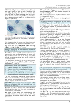 Tân sinh trong biểu mô cổ tử cung
Diễn tiến tự nhiên của các tân sinh trong biểu mô cổ tử cung
3
CIN 3 chứa những tế bào có kích thước giống tế bào cận
đáy hoặc tế bào dự trữ. Mặc dù nhân tế bào giống LSIL
như không đều, màng nhân nhăn, có thể đa nhân, nhân
sinh chất thoái hóa nhưng kích thước nhân nhỏ. Vì kích
thước tế bào nhỏ và nhân tương đối lớn so với bào tương
nên tỷ lệ nhân:bào tương tăng rõ rệt. Các tế bào có thể cô
lập hoặc xếp thành lớp.
Hình 10: HSIL-CIN 3
Nhân tế bào vẫn còn giống với LSIL, tuy nhiên, kích thước của tế bào rất
nhỏ, vì thế tỉ lệ nhân:bào tương tăng lên rất cao ở các tế bào CIN 3 này.
Nguồn: med.cmu.ac.th
Nói chung, phân loại tổn thương trong biểu mô phụ thuộc
kích thước tế bào dị sản, phạm vi và lượng tế bào dị sản.
SỰ THAY ĐỔI LUẬN ĐIỂM VỀ DIỄN BIẾN TỰ
NHIÊN CỦA DỊ SẢN CỔ TỬ CUNG
Diễn tiến tự nhiên của tân sinh biểu mô cổ tử cung vẫn
chưa được hiểu đầy đủ.
Luận điểm cổ điển về diễn biến tự nhiên của tân sinh trong
biểu mô cổ tử cung cho rằng rằng những tổn thương trong
biểu mô diễn biến tuần tự từ các tổn thương mức độ thấp
đến các tổn thương mức độ cao và có thể tiến triển ung thư
cổ tử cung xâm lấn.
Tuy nhiên, thuyết này phải đối mặt với các báo cáo chỉ ra
rằng có những trường hợp CIN 2 hoặc CIN 3 mà không có
tổn thương CIN 1 trước đó.
Luận điểm hiện đại bao gồm các nội dung:
1. Khả năng sinh ung lệ thuộc vào genotype của HPV
2. Khả năng thanh thải virus qua đáp ứng miễn dịch
3. Tiến trình tích hợp vốn gene của virus vào tế bào
4. Tân sinh trong biểu mô mức độ cao có thể xuất hiện
không thông qua giai đoạn tổn thương mức độ thấp
Tùy theo khả năng sinh ung mà các Human Papilloma
Virus được chia làm 2 loại: (1) các genotypes có nguy cơ
cao sinh ung thư (oncogenic), và (2) các genotypes có
nguy cơ thấp sinh ung thư (non-oncogenic).
Nhiễm HPV genotype nguy cơ cao sinh ung thư là điều
kiện cần nhưng không phải điều kiện đủ để phát triển
thành ung thư cổ tử cung.
Genotype của HPV và đáp ứng miễn dịch để thanh thải
HPV đóng vai trò quan trọng trong bệnh sinh của ung thư
cổ tử cung sau khi nhiễm HPV.
Các yếu tố xác định nhiễm HPV sẽ dai dẳng vẫn chưa
được hiểu biết hoàn toàn. Yếu tố genotype của HPV đóng
vai trò chính yếu trong sử nhiễm HPV dai dẳng và tiến
triển của bệnh.
HPV type 16 có khả năng gây ung thư cao nhất, chịu trách
nhiệm trong khoảng 55-60% tất cả những ca ung thư cổ tử
cung trên toàn thế giới.
HPV type 18 là genotype sinh ung thư cao thứ nhì, chiếm
10-15% ung thư cổ tử cung.
Khoảng 12 genotype khác có nguy cơ cao gây ung thư cổ
tử cung.
Tiến triển của nhiễm HPV tùy thuộc vào khả năng thanh
thải HPV, thông qua đáp ứng miễn dịch vật chủ.
Mô hình gây ung thư cổ tử cung gần đây chỉ ra rằng nhiễm
HPV có thể thoáng qua hoặc tồn tại dai dẳng, tùy theo đáp
ứng thanh thải là mạnh hay suy yếu.
Hầu hết các trường hợp nhiễm HPV thoáng qua và ít nguy
cơ tiến triển tiếp tục thành ung thư.
Chỉ một số ít nhiễm HPV kéo dài, từ 1 đến 2 năm sau lần
nhiễm đầu tiên, mới dẫn đến tăng nguy cơ phát triển thành
tân sinh trong biểu mô cổ tử cung hoặc ung thư cổ tử cung
sau này, bất kể tuổi của người phụ nữ.
Các yếu tố xác định nhiễm HPV sẽ dai dẳng vẫn chưa
được hiểu biết hoàn toàn. Các yếu tố thuận lợi khác được
biết đến là hút thuốc lá, suy giảm miễn dịch, và nhiễm
virus HIV. Chúng có điểm chung là làm suy yếu khả năng
thanh thải HPV.
Nhiễm HPV thường gặp nhất ở trẻ gái tuổi vị thành niên
và phụ nữ ở tuổi 20. Tỷ lệ mắc giảm dần theo tuổi.
Tuy nhiên, hầu hết các phụ nữ trẻ, đặc biệt là trước 21
tuổi, có đáp ứng miễn dịch mạnh mẽ. Các đối tượng này
có khả năng thanh thải HPV trong thời gian khoảng 8
tháng. Ở khoảng 85-90% trong số họ, tải lượng virus có
thể đạt đến mức không còn phát hiện được sau 8 -24 tháng.
Cùng với việc giải quyết thải HPV, hầu hết tân sinh cổ tử
cung cũng được thoái triển tự nhiên ở nhóm dân số này.
Tiến trình nhiễm tự nhiên HPV không thay đổi ở nhóm
dân số từ 30 -65 tuổi. Do nhiễm HPV ở phụ nữ trên 30 tuổi
thường tồn tại lâu, nên cùng với độ tuổi, tỷ lệ HSIL sẽ cao
hơn.
Tích hợp của virus vào vốn gene của tế bào có vai trò
quyết định trong bệnh sinh của tân sinh trong biểu mô.
Các trường hợp nhiễm HPV cấp thường biểu hiện bằng tân
sinh trong biểu mô mức độ thấp (CIN 1). Trong giai đoạn
này, không có sự tích hợp gene của virus vào genome của
tế bào. Virus có khả năng bị thanh thải.
CIN 1 có một tỷ lệ cao sẽ thoái triển trở về bình thường.
Vì thế, với CIN 1, các khuyến cáo thường đề nghị tiếp tục
theo dõi hơn là can thiệp điều trị.
Trong CIN 2, bắt đầu có hiện tượng tích hợp của virus vào
genome của tế bào. Cách tiếp cận lâm sàng đối với CIN 2
là đối tượng của rất nhiều tranh luận.
Có thể nhận ra các thách thức lớn trong xác lập chẩn đoán,
cũng như trong tính không chắc chắn của việc hoạch định
xử trí lý tưởng.
Chẩn đoán CIN 2 có mức độ biến thiên rất rộng. Tiên
lượng CIN 2 là sự hỗn hợp giữa tổn thương mức độ thấp
và tổn thương mức độ cao, không dễ dàng phân biệt được
bằng mô học.
 