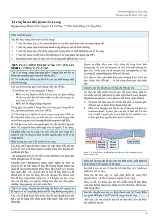 Tân sinh trong biểu mô cổ tử cung
Từ chuyển sản đến dị sản cổ tử cung
1
Từ chuyển sản đến dị sản cổ tử cung
Nguyễn Đăng Phước Hiền, Nguyễn Vũ Hà Phúc, Tô Mai Xuân Hồng, Lê Hồng Cẩm
Mục tiêu bài giảng
Sau khi học xong, sinh viên có khả năng:
1. Trình bày được các vị trí của ranh giới lát trụ theo giai đoạn tuổi của người phụ nữ
2. Trình bày được quá trình hình thành vùng chuyển sản lát bình thường
3. Trình bày được các yếu tố tác động ảnh hưởng đến sự hình thành dị sản cổ tử cung
4. Trình bày được sơ đồ mô tả tổn thương cổ tử cung dưới tác dụng của HPV
5. Giải thích được một số thay đổi cổ tử cung trên phết tế bào và soi
TIẾN TRÌNH HÌNH THÀNH VÙNG CHUYỂN SẢN
BÌNH THƯỜNG CỔ TỬ CUNG
Tại cổ tử cung, vùng tiếp giáp giữa 2 dạng biểu mô lát và
biểu mô trụ được gọi vùng nối lát trụ (SCJ).
SCJ là xuất phát điểm của hầu hết các tân sinh trong biểu
mô cổ tử cung.
Mô học cổ tử cung gồm một mạng lưới các tế bào.
Tế bào biểu mô cổ tử cung gồm 2 dạng:
1. Biểu mô trụ (tuyến). Biểu mô trụ cấu tạo gồm những
tế bào trụ đơn bài tiết chất nhầy và nằm sâu trong các
nếp hoặc các hốc
2. Biểu mô lát tầng không sừng hóa
Vùng gặp nhau giữa 2 dạng biểu mô được gọi vùng nối lát
trụ (squamocolumnar junction) (SCJ).
SCJ là vùng có ý nghĩa rất quan trọng trong thực hành, vì
là xuất phát điểm của của hầu hết các tân sinh trong biểu
mô cổ tử cung (cevical intraepithelial neoplasia) (CIN).
Ở thời kỳ niên thiếu của người phụ nữ, chỉ có SCJ nguyên
thủy. SCJ nguyên thủy nằm ngay trên cổ ngoài cổ tử cung.
Sự phát triển của tử cung vào tuổi dậy thì làm vùng SCJ
nguyên thủy bị chuyển dịch ra phía ngoài, nằm xa lỗ cổ tử
cung ngoài.
Hiện tượng này gọi là lộ tuyến cổ tử cung.
Lúc này, SCJ nguyên thủy cùng với một phần biểu mô trụ
tuyến bị bộc lộ ra phía ngoài và nằm trong môi trường pH
acid của âm đạo.
Tác động của yếu tố nội tiết và môi trường kích hoạt quá
trình chuyển sản cổ tử cung.
Chuyển sản (metaplasia) được định nghĩa là một sự
chuyển đổi từ một dạng tế bào đã trưởng thành thành các
dạng tế bào trưởng thành khác nhau. Quá trình này thường
liên quan đến việc chuyển đổi từ một tế bào hình trụ để
thành một tế bào lát tầng, đôi khi chuyển đổi thành một
loại tế bào tuyến khác cũng xảy ra. Chuyển sản xảy ra tại
một số nội tạng con người, chẳng hạn như các phế quản,
dạ dày, bàng quang và tuyến nước bọt.
Tại cổ tử cung, chuyển sản lát thay thế biểu mô tuyến của
lộ tuyến cổ tử cung bằng biểu mô lát tầng không sừng hóa.
Các yếu tố kích hoạt tiến trình chuyển sản thành biểu mô
lát ở cổ tử cung vẫn chưa hoàn toàn được hiểu một cách
thấu đáo.
Người ta chấp nhận một cách rộng rãi rằng dưới ảnh
hưởng của các yếu tố hormone và acid của môi trưởng âm
đạo, các tế bào cận trụ sẽ chuyển sản (metaplasia) để lấp
lại vùng lộ tuyến bằng một biểu mô lát mới.
Các yếu tố khác như điều kiện môi trường, kích thích cơ
học, viêm, thay đổi pH… có thể cũng tham gia tiến trình
này.
Chuyển sản bắt đầu từ các tế bào dự trữ cận trụ.
Cơ chế của tiến trình chuyển sản vẫn chưa được biết rõ.
Có nhiều cơ chế giải thích sự phát triển thành vùng chuyển
tiếp (transformation zone). Hai cơ chế được chấp nhận là
1. Sự biểu mô hóa của các tế bào lát mới có nguồn gốc
từ biểu mô lát đươc hình thành trước đó.
2. Phát triển chuyển sản lát từ các tế bào dự trữ cận trụ
(subcolumnar). Nguồn gốc của các tế bào dự trữ vẫn
còn mơ hồ. Nguồn gốc của tế bào dự trữ có thể là các
tế bào gốc hay nguyên bào sợi từ mô đệm.
Hình 1: Vị trí tìm thấy các tế bào dự trữ cận trụ là ở ranh giới lát-trụ
Nguồn: slideshare.net
Biểu mô lát non do tế bào cận trụ phát triển, xuất phát từ
SCJ hướng về lỗ ngoài cổ tử cung.
Sự phát triển của các tế bào dự trữ dẫn đến việc thành tạo
một biểu mô lát non.
Biểu mô lát non này có xuất phát điểm là vùng SCJ
nguyên thủy, và tiến về phía lỗ ngoài cổ tử cung.
Trên vi thể, nó được cấu tạo bởi nhiều tầng tế bào tăng
sinh, bào tương rộng hơn, nhân trở nên nhỏ hơn, nhiễm sắc
chất đồng nhất.
Sau khi chuyển sản xảy ra, hình thành một SCJ mới. Khu
vực giữa SCJ gốc và SCJ mới là vùng chuyển tiếp.
Dần dần, các mô chuyển sản lát sẽ thay thế chỗ của biểu
mô tuyến lộ tuyến.
 