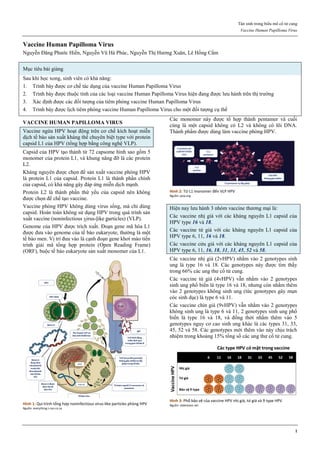 Tân sinh trong biểu mô cổ tử cung
Vaccine Human Papilloma Virus
1
Vaccine Human Papilloma Virus
Nguyễn Đăng Phước Hiền, Nguyễn Vũ Hà Phúc, Nguyễn Thị Hương Xuân, Lê Hồng Cẩm
Mục tiêu bài giảng
Sau khi học xong, sinh viên có khả năng:
1. Trình bày được cơ chế tác dụng của vaccine Human Papilloma Virus
2. Trình bày được thuộc tính của các loại vaccine Human Papilloma Virus hiện đang được lưu hành trên thị trường
3. Xác định được các đối tượng của tiêm phòng vaccine Human Papilloma Virus
4. Trình bày được lịch tiêm phòng vaccine Human Papilloma Virus cho một đối tượng cụ thể
VACCINE HUMAN PAPILLOMA VIRUS
Vaccine ngừa HPV hoạt động trên cơ chế kích hoạt miễn
dịch tế bào sản xuất kháng thể chuyên biệt type với protein
capsid L1 của HPV (tổng hợp bằng công nghệ VLP).
Capsid của HPV tạo thành từ 72 capsome hình sao gồm 5
monomer của protein L1, và khung nâng đỡ là các protein
L2.
Kháng nguyên được chọn để sản xuất vaccine phòng HPV
là protein L1 của capsid. Protein L1 là thành phần chính
của capsid, có khả năng gây đáp ứng miễn dịch mạnh.
Protein L2 là thành phần thứ yếu của capsid nên không
được chọn để chế tạo vaccine.
Vaccine phòng HPV không dùng virus sống, mà chỉ dùng
capsid. Hoàn toàn không sử dụng HPV trong quá trình sản
xuất vaccine (noninfectious virus-like particles) (VLP).
Genome của HPV được trích xuất. Đoạn gene mã hóa L1
được đưa vào genome của tế bào eukaryote, thường là một
tế bào men. Vị trí đưa vào là cạnh đoạn gene khơi mào tiến
trình giải mã tổng hợp protein (Open Reading Frame)
(ORF), buộc tế bào eukaryote sản xuất monomer của L1.
Hình 1: Qui trình tổng hợp noninfectious virus-like particles phòng HPV
Nguồn: everything-i-can.co.za
Các monomer này được tổ hợp thành pentamer và cuối
cùng là một capsid không có L2 và không có lõi DNA.
Thành phẩm được dùng làm vaccine phòng HPV.
Hình 2: Từ L1 monomer đến VLP HPV
Nguồn: jaoa.org
Hiện nay lưu hành 3 nhóm vaccine thương mại là:
Các vaccine nhị giá với các kháng nguyên L1 capsid của
HPV type 16 và 18.
Các vaccine tứ giá với các kháng nguyên L1 capsid của
HPV type 6, 11, 16 và 18.
Các vaccine cửu giá với các kháng nguyên L1 capsid của
HPV type 6, 11, 16, 18, 31, 33, 45, 52 và 58.
Các vaccine nhị giá (2vHPV) nhằm vào 2 genotypes sinh
ung là type 16 và 18. Các genotypes này được tìm thấy
trong 66% các ung thư cổ tử cung.
Các vaccine tứ giá (4vHPV) vẫn nhằm vào 2 genotypes
sinh ung phổ biến là type 16 và 18, nhưng còn nhằm thêm
vào 2 genotypes không sinh ung (tức genotypes gây mụn
cóc sinh dục) là type 6 và 11.
Các vaccine chín giá (9vHPV) vẫn nhằm vào 2 genotypes
không sinh ung là type 6 và 11, 2 genotypes sinh ung phổ
biến là type 16 và 18, và đồng thời nhằm thêm vào 5
genotypes nguy cơ cao sinh ung khác là các types 31, 33,
45, 52 và 58. Các genotypes mới thêm vào này chịu trách
nhiệm trong khoảng 15% tổng số các ung thư cổ tử cung.
Hình 3: Phổ bảo vệ của vaccine HPV nhị giá, tứ giá và 9 type HPV
Nguồn: slideshare.net
 