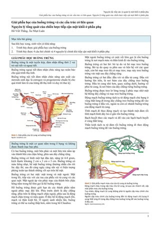 Nguyên tắc tiếp cận và quản lý một khối ở phần phụ
Giải phẫu học của buồng trứng và các cấu trúc có liên quan. Nguyên lý tổng quát của chiến lược tiếp cận một khối ở phần phụ
1
Giải phẫu học của buồng trứng và các cấu trúc có liên quan
Nguyên lý tổng quát của chiến lược tiếp cận một khối ở phần phụ
Hồ Viết Thắng, Âu Nhựt Luân
Mục tiêu bài giảng
Sau khi học xong, sinh viên có khả năng:
1. Trình bày được giải phẫu học của buồng trứng
2. Trình bày được 4 câu hỏi chính và 4 nguyên lý chính khi tiếp cận một khối ở phần phụ
GIẢI PHẪU HỌC BUỒNG TRỨNG
Buồng trứng là một tuyến kép, đảm nhận đồng thời 2 vai
trò nội tiết và ngoại tiết.
Buồng trứng ngoại tiết đảm nhận chức năng tạo noãn bào
cho quá trình thụ tinh.
Buồng trứng nội tiết đảm nhận chức năng sản xuất các
steroids sinh dục là estrogen và progesterone chuẩn bị cho
quá trình làm tổ của trứng đã thụ tinh và duy trì thai kỳ.
Hình 1: Giải phẫu của tử cung và buồng trứng
Nguồn: studyblue.com
Buồng trứng là một cơ quan nằm trong ổ bụng và không
được thanh mạc bao phủ.
Có hai buồng trứng, một bên phải và một bên trái nằm áp
vào thành bên của chậu hông, phía sau dây chằng rộng.
Buồng trứng có hình một hạt đậu dẹt, nặng từ 4-8 gram,
kích thước khoảng 2 cm x 3 cm x 3 cm. Buồng trứng có
màu hồng nhạt, bề mặt buồng trứng thường nhẵn cho tới
lúc dậy thì, sau đó càng ngày càng sần sùi vì hiện tượng
phóng noãn tạo thành những vết sẹo trên bề mặt.
Buồng trứng có hai mặt: mặt trong và mặt ngoài. Mặt
trong lồi, tiếp xúc với các tua của phễu vòi tử cung và các
quai ruột. Mặt ngoài áp vào phúc mạc của thành bên chậu
hông nằm trong hố lõm gọi là hố buồng trứng.
Hố buồng trứng được giới hạn do các thành phần nằm
ngoài phúc mạc đội lên. Phía trước dưới là dây chằng
rộng, phía trên là động mạch chậu ngoài, phía sau là động
mạch chậu trong và niệu quản. Ở đáy hố là động mạch rốn,
mạch và thần kinh bịt. Ở người sanh nhiều lần, buồng
trứng có thể sa xuống thấp hơn, nằm trong hố Claudius.
Mặt ngoài buồng trứng có một vết lõm gọi là rốn buồng
trứng là nơi mạch máu và thần kinh đi vào buồng trứng.
Buồng trứng có hai bờ: bờ tự do và bờ mạc treo buồng
trứng. Bờ tự do quay ra phía sau và liên hệ với các quai
ruột, còn bờ mạc treo thì có mạc treo, mạc này treo buồng
trứng vào mặt sau dây chằng rộng.
Buồng trứng có hai đầu: đầu vòi và đầu tử cung. Đầu vòi
hướng lên trên, là nơi bám của dây chằng treo buồng
trứng. Đầu tử cung nhỏ hơn, quay xuống dưới, hướng về
phía tử cung, là nơi bám của dây chằng riêng buồng trứng.
Buồng trứng được treo lơ lửng trong ổ phúc mạc nhờ một
hệ thống dây chằng và mạc treo buồng trứng.
Động mạch buồng trứng tách ra từ động mạch chủ bụng ở
vùng thắt lưng đi trong dây chằng treo buồng trứng để vào
buồng trứng ở đầu vòi, ngoài ra còn có nhánh buồng trứng
của động mạch tử cung.
Tĩnh mạch đi theo động mạch và tạo thành một đám rối
tĩnh mạch hình dây leo ở gần rốn buồng trứng.
Bạch huyết theo các mạch và đổ vào các hạch bạch huyết
ở vùng thắt lưng.
Thần kinh tách ra từ đám rối buồng trứng đi theo động
mạch buồng trứng để vào buồng trứng.
Hình 2: Giải phẫu mạch máu của của tử cung và buồng trứng
Động mạch chậu trong cấp máu cho tử cung, và qua các nhánh nối, cấp
một phần máu cho buồng trứng.
Tuy nhiên, động mạch tử cung không phải là nguồn cấp máu chính cho
buồng trứng.
Nguồn cấp máu chính của buồng trứng đến từ động mạch chủ bụng ở
vùng thắt lưng đi trong dây chằng treo buồng trứng để vào buồng trứng
ở đầu vòi.
Nguồn: teachmeanatomy.info
 
