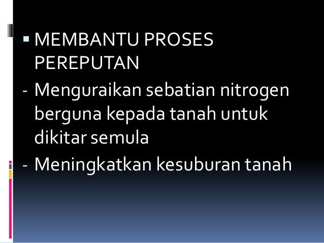 SAINS TING 5