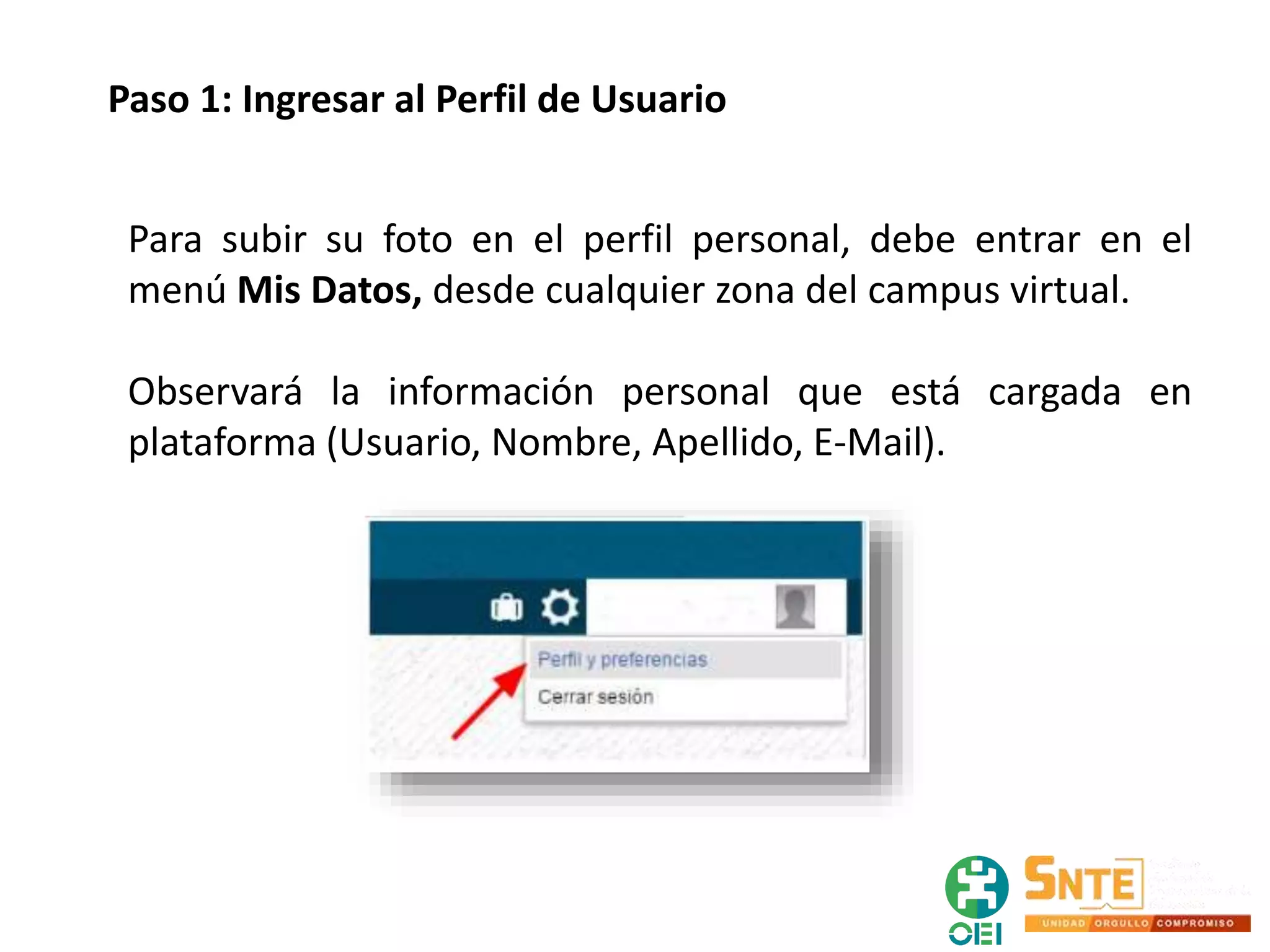 Paso 1: Ingresar al Perfil de Usuario
Para subir su foto en el perfil personal, debe entrar en el
menú Mis Datos, desde cualquier zona del campus virtual.
Observará la información personal que está cargada en
plataforma (Usuario, Nombre, Apellido, E-Mail).