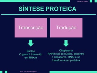 ut
SÍNTESE PROTEICA
Transcrição Tradução
Núcleo
O gene é transcrito
em RNAm
Citoplasma
RNAm sai do núcleo, encontra
o ribossomo, RNAt e se
transforma em proteína
 