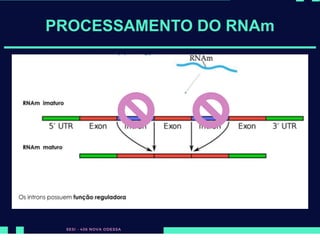 PROCESSAMENTO DO RNAm
 