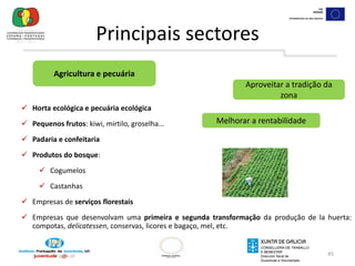 Introduzir elementos transversais ligados à perspectiva de género, a novas tecnologias, à inovação, à qualidade e ao meio ambiente na formação e assistência aos beneficiários.