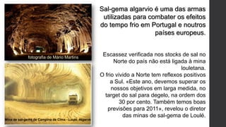 Escassez verificada nos stocks de sal no
Norte do país não está ligada à mina
louletana.
O frio vivido a Norte tem reflexos positivos
a Sul. «Este ano, devemos superar os
nossos objetivos em larga medida, no
target do sal para degelo, na ordem dos
30 por cento. Também temos boas
previsões para 2011», revelou o diretor
das minas de sal-gema de Loulé.
Sal-gema algarvio é uma das armas
utilizadas para combater os efeitos
do tempo frio em Portugal e noutros
países europeus.
fotografia de Mário Martins
Mina de sal-gema de Campina de Cima - Loulé, Algarve
 