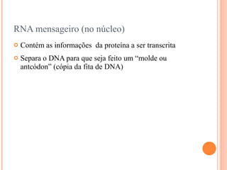 RNA mensageiro (no núcleo)
   Contém as informações da proteína a ser transcrita
   Separa o DNA para que seja feito um “molde ou
    antcódon” (cópia da fita de DNA)
 