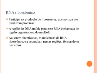 RNA ribossômico
   Participa na produção de ribossomos, que por sua vez
    produzem proteínas.
   A região do DNA molde para esse RNA é chamada de
    região organizadora do nucléolo.
   Ao serem sintetizadas, as moléculas de RNA
    ribossômico se acumulam nessas regiões, formando os
    nucléolos.
 