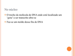 No núcleo
   O trecho da molécula de DNA onde está localizado um
    ‘gene’ a ser transcrito abre-se
   Faz-se um molde dessa fita de DNA
 