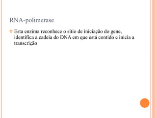 RNA-polimerase
   Esta enzima reconhece o sítio de iniciação do gene,
    identifica a cadeia do DNA em que está contido e inicia a
    transcrição
 