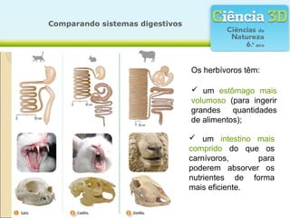 Comparando sistemas digestivos




                                 Os herbívoros têm:

                                  um estômago mais
                                 volumoso (para ingerir
                                 grandes    quantidades
                                 de alimentos);

                                  um intestino mais
                                 comprido do que os
                                 carnívoros,     para
                                 poderem absorver os
                                 nutrientes de forma
                                 mais eficiente.
 