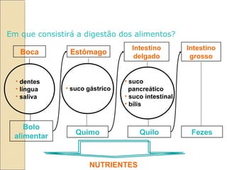 SISTEMA DIGESTIVO


Em que consistirá a digestão dos alimentos?
                                   Intestino         Intestino
   Boca         Estômago
                                    delgado           grosso


  • dentes                       • suco
  • língua     • suco gástrico     pancreático
  • saliva                       • suco intestinal
                                 • bílis


    Bolo
 alimentar        Quimo               Quilo           Fezes



                      NUTRIENTES
 