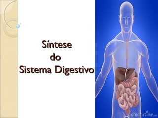 Síntese
       do
Sistema Digestivo
 