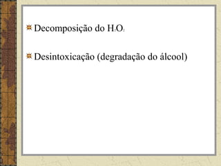 Decomposição do H2O2
Desintoxicação (degradação do álcool)
 