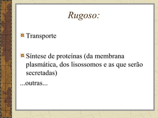 Rugoso:
Transporte
Síntese de proteínas (da membrana
plasmática, dos lisossomos e as que serão
secretadas)
...outras...
 