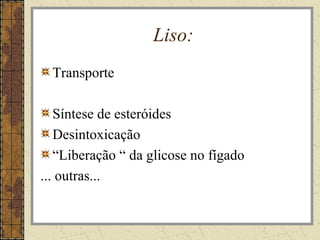Liso:
Transporte
Síntese de esteróides
Desintoxicação
“Liberação “ da glicose no fígado
... outras...
 